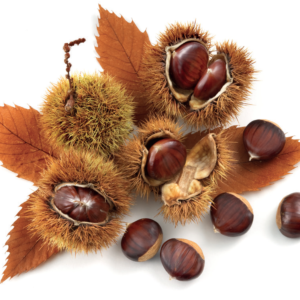 castagne igp